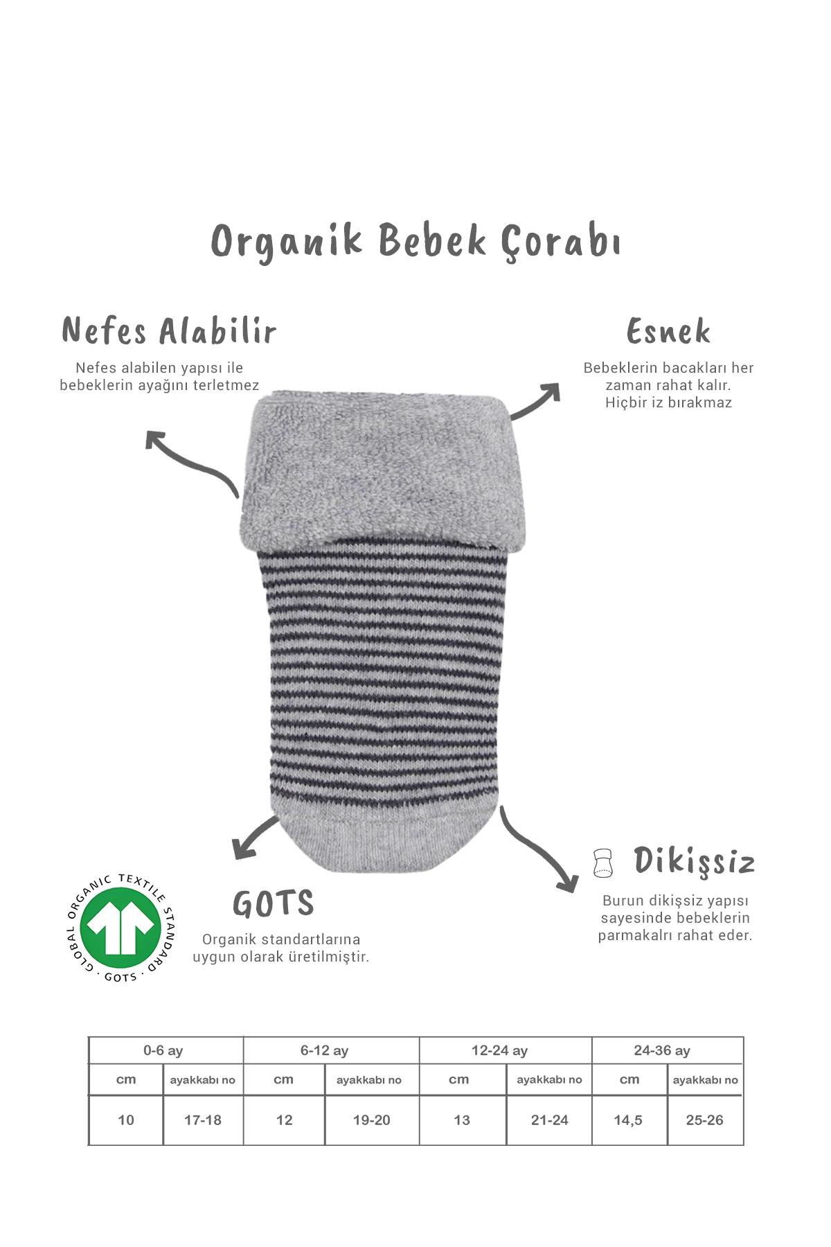 Soket ÇorapBisyleBistil Bistyle Organik Dikişsiz 2li Çemberli Kaymaz Havlu Soket Bebek Çorap