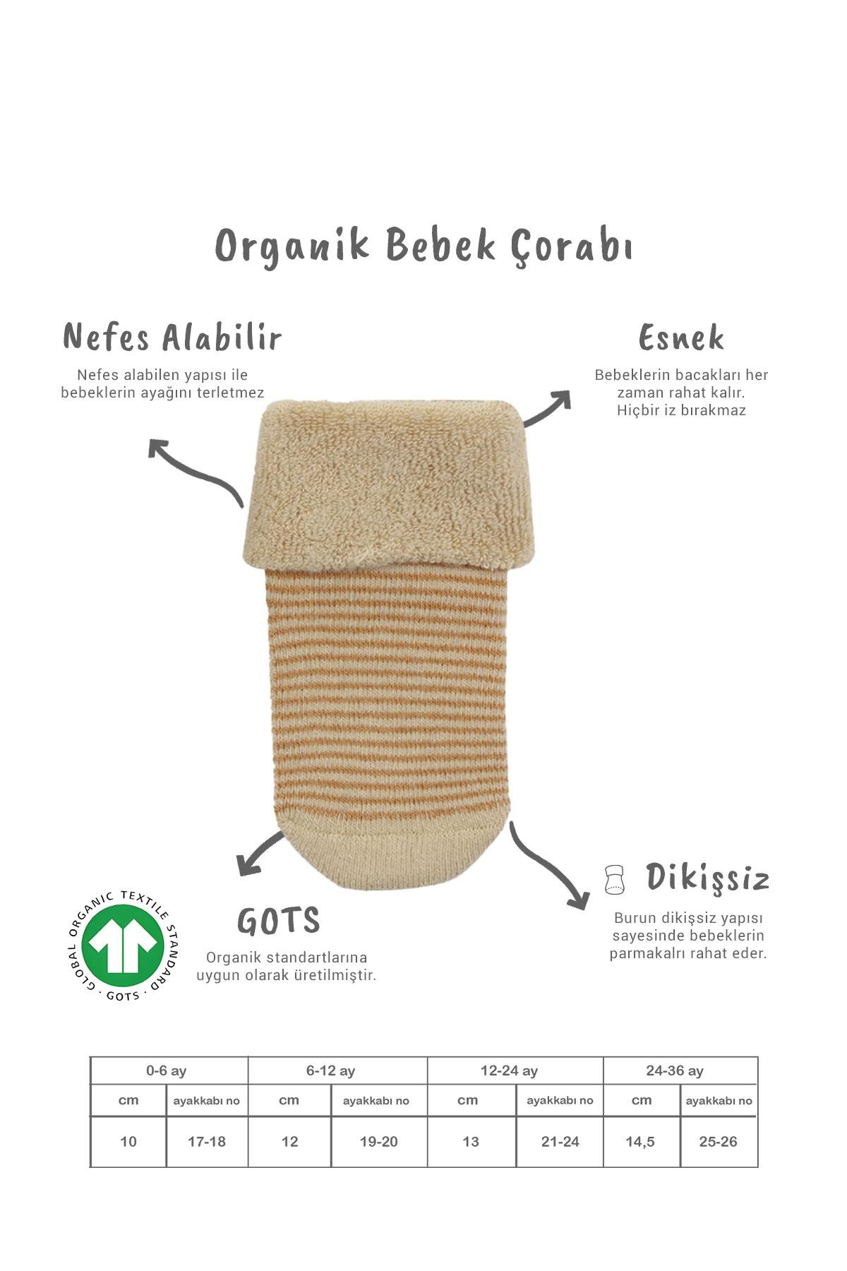 Soket ÇorapBisyleBistil Bistyle Organik Dikişsiz 2li Çemberli Kaymaz Havlu Soket Bebek Çorap