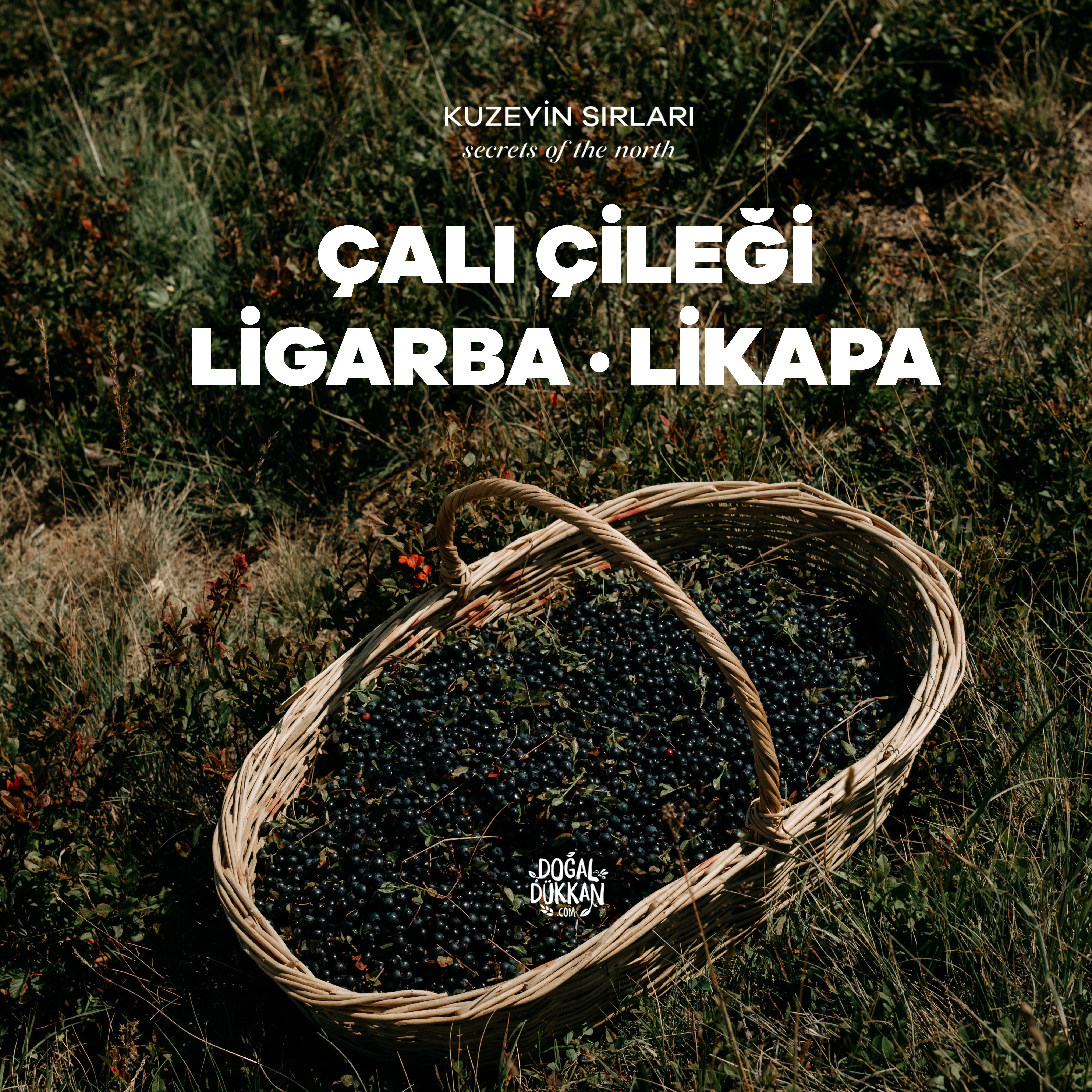 Çalı Çileği Suyu (200ml)