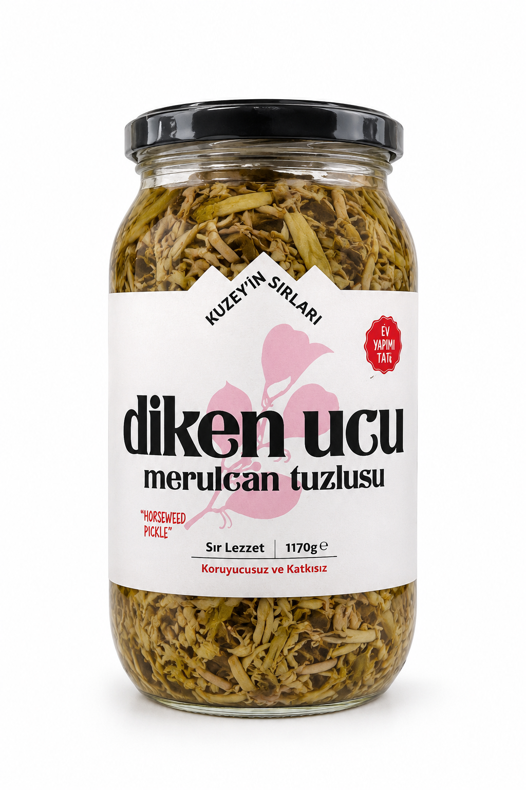 Dikenucu (Merulcan) Tuzlusu 