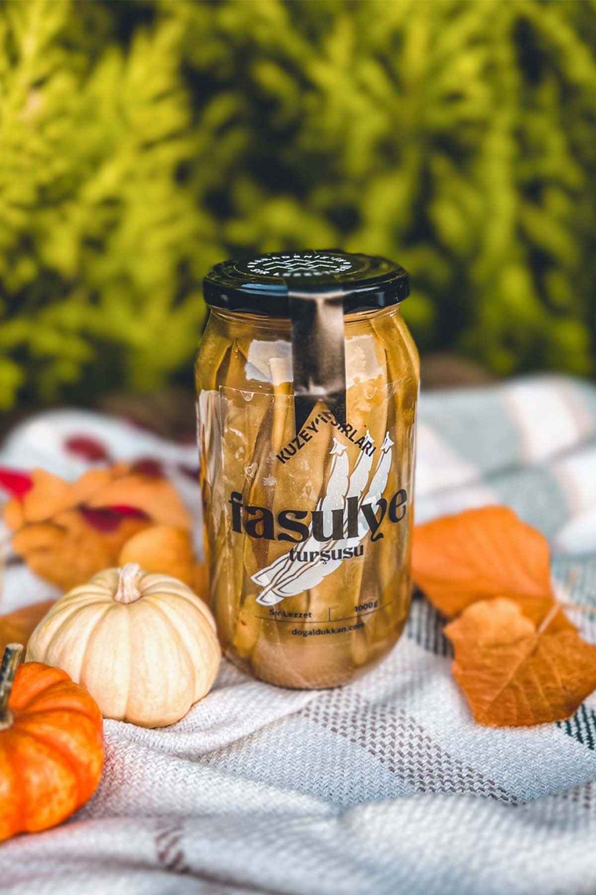 Fasulye Turşusu (1KG)