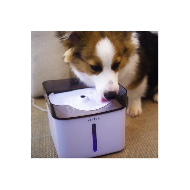 Aclium Köpek Su Sebili 2,4 Lt