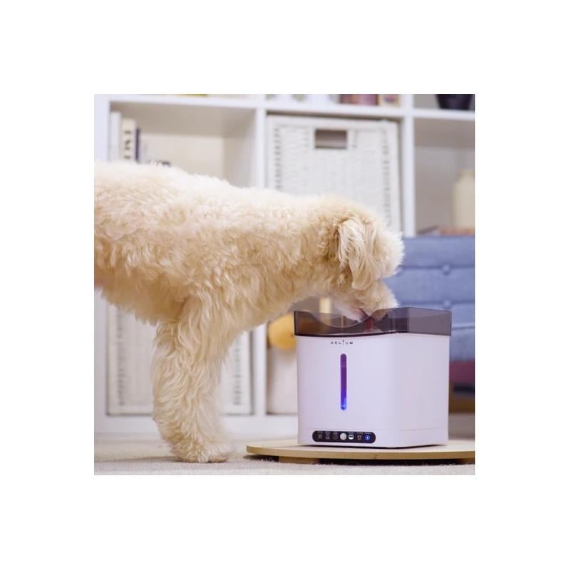 Aclium Sensörlü Köpek Su Sebili 2,4 Lt