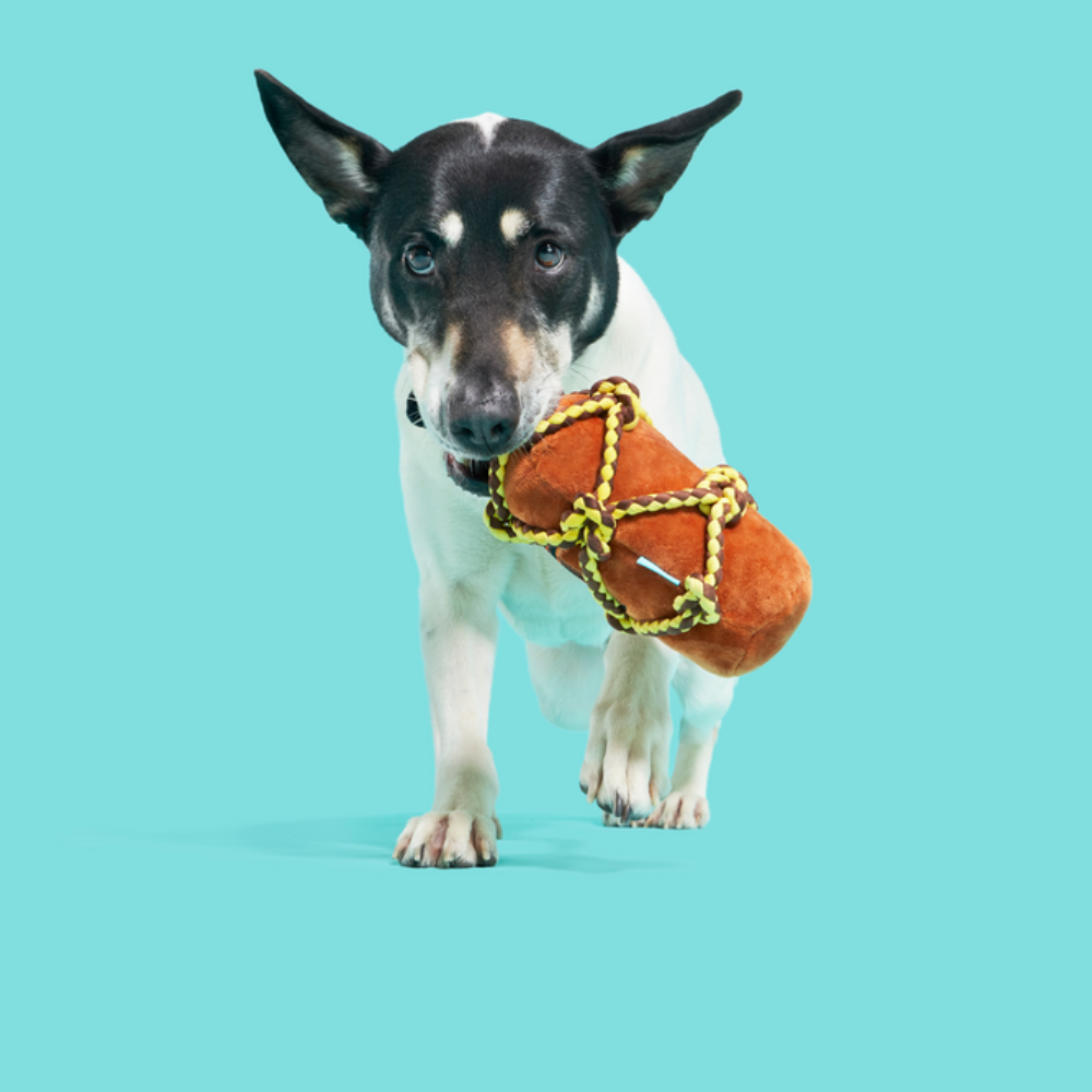 Bark Barkbeards's Rum Sesli Şişe Peluş