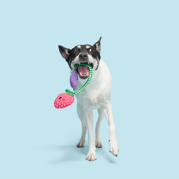 Bark Berry Sesli Böğürtlen Peluş