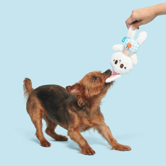 Bark Bun Sesli Tavşan Peluş Xs/M