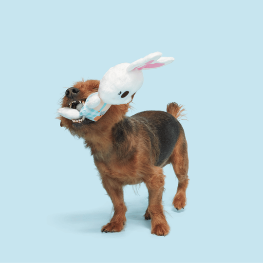 Bark Bun Sesli Tavşan Peluş Xs/M