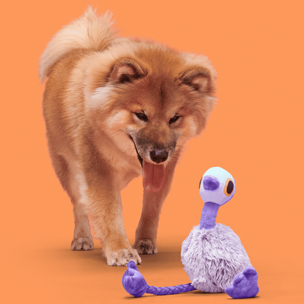 Bark Emu Sesli Deve Kuşu Peluş Xs/M