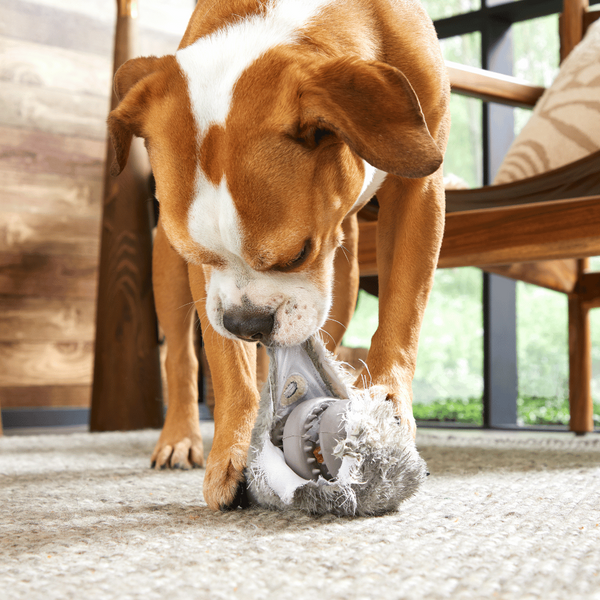 Bark Hare Çiğneme M/L