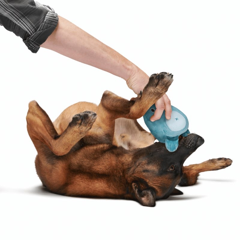 Bark Hugger Sesli Ayıcık Çiğneme L