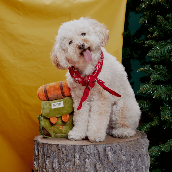 Bark Rucksack Sesli Çanta Peluş S/M