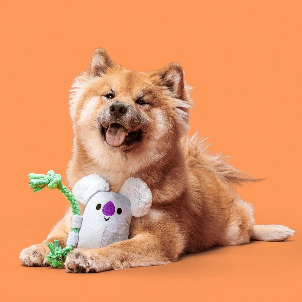 Bark Sesli Koala Peluş