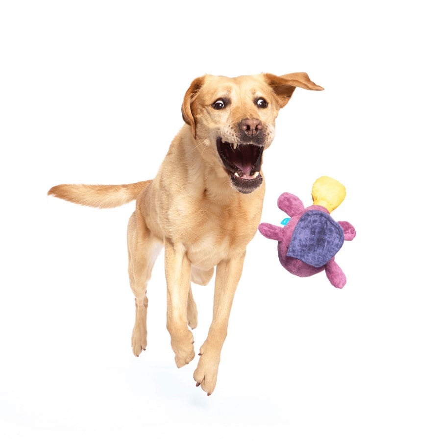 Bark Sesli Ornitorenk Peluş