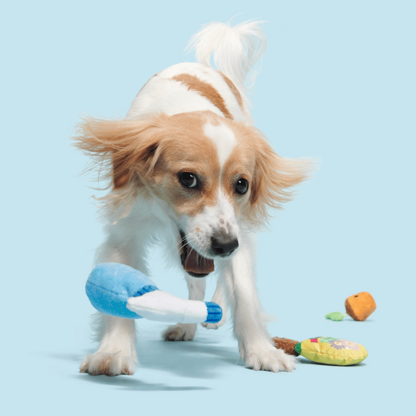 Bark Sesli Sera Seti Peluş Xs/S