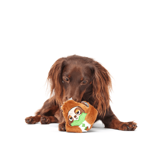 Bark Sonny Sesli Tembel Hayvan Çiğneme M/L