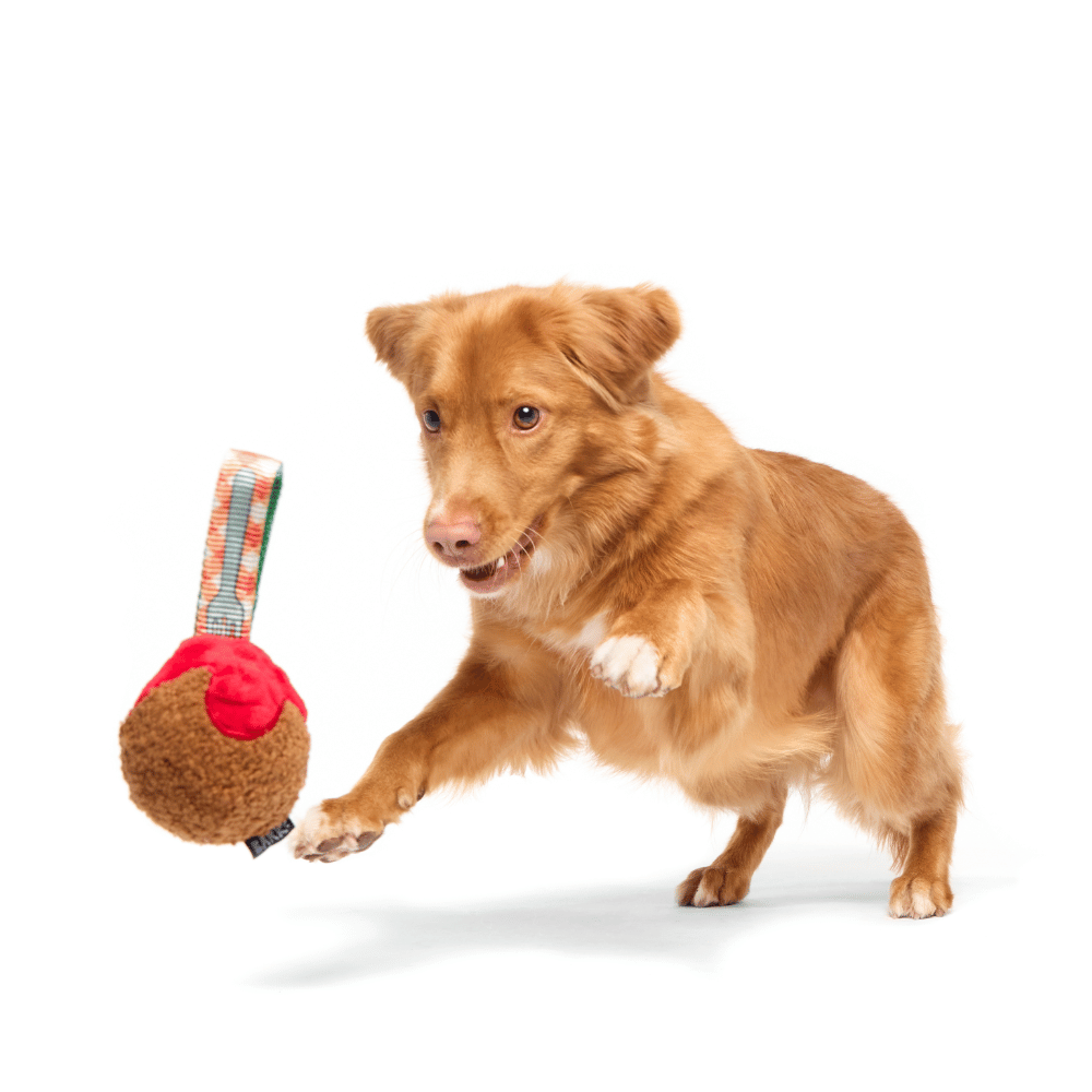 Bark Squeaky Sesli Köfte - Çiğneme M