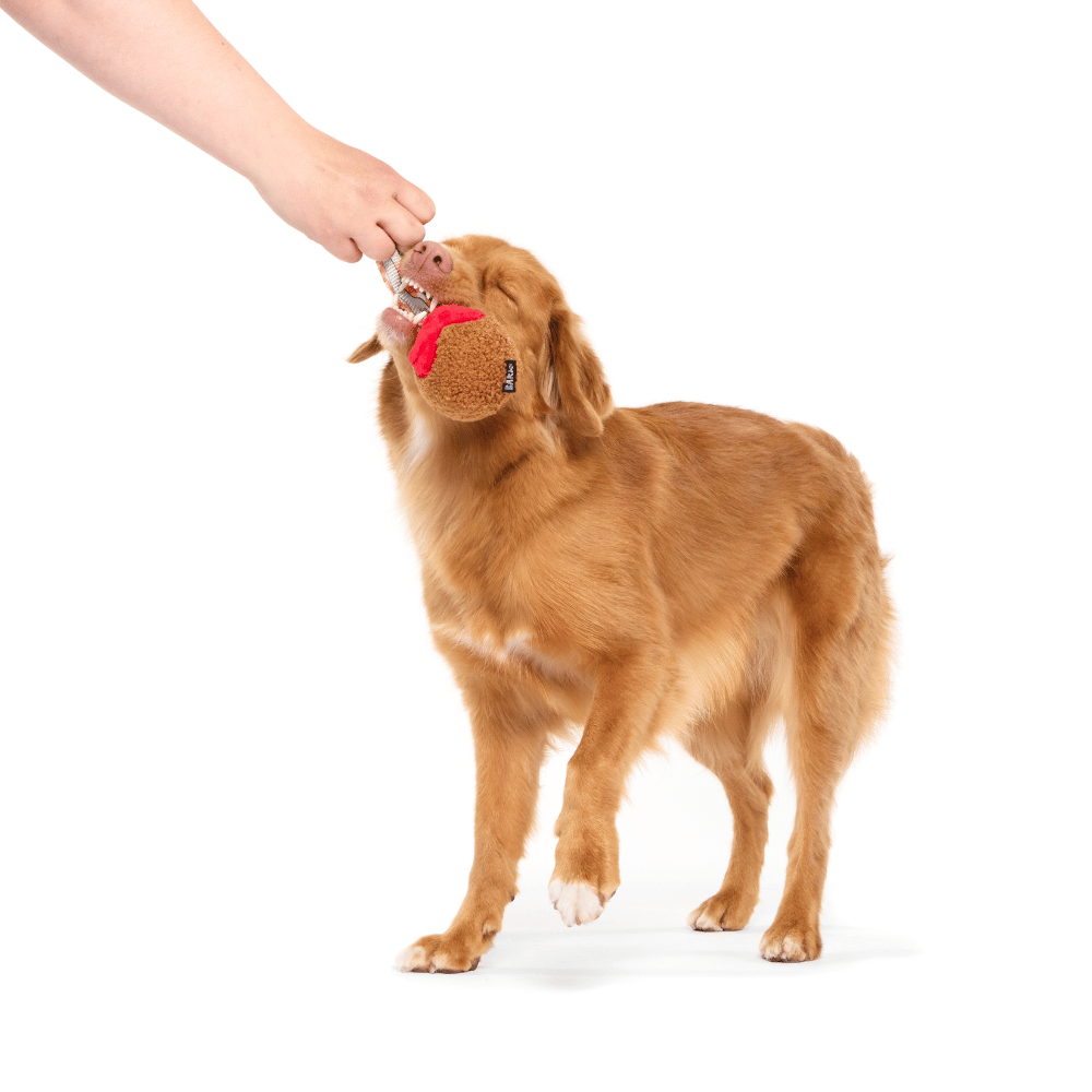 Bark Squeaky Sesli Köfte - Çiğneme M