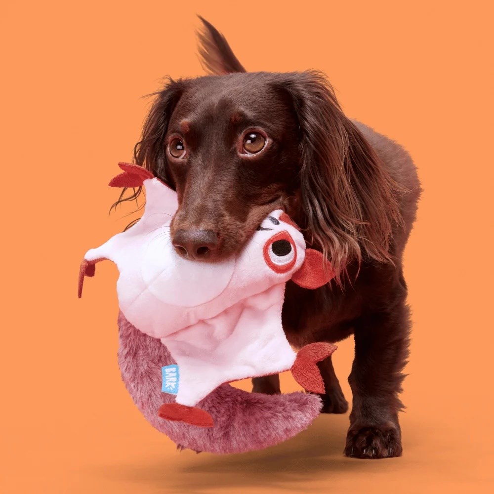Bark Sydney Sesli Uçan Sincap Peluş Xs/S