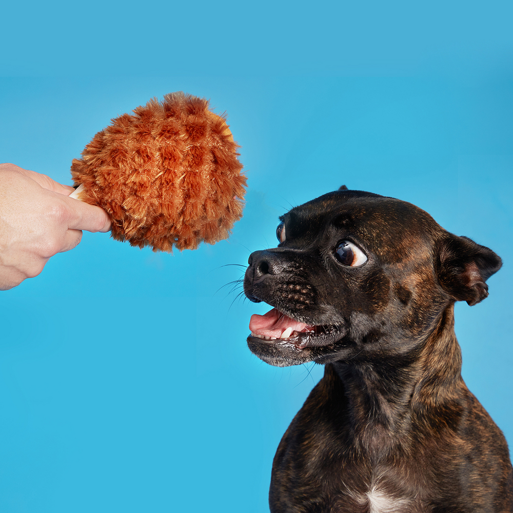 Bark Tavern But Peluş 
