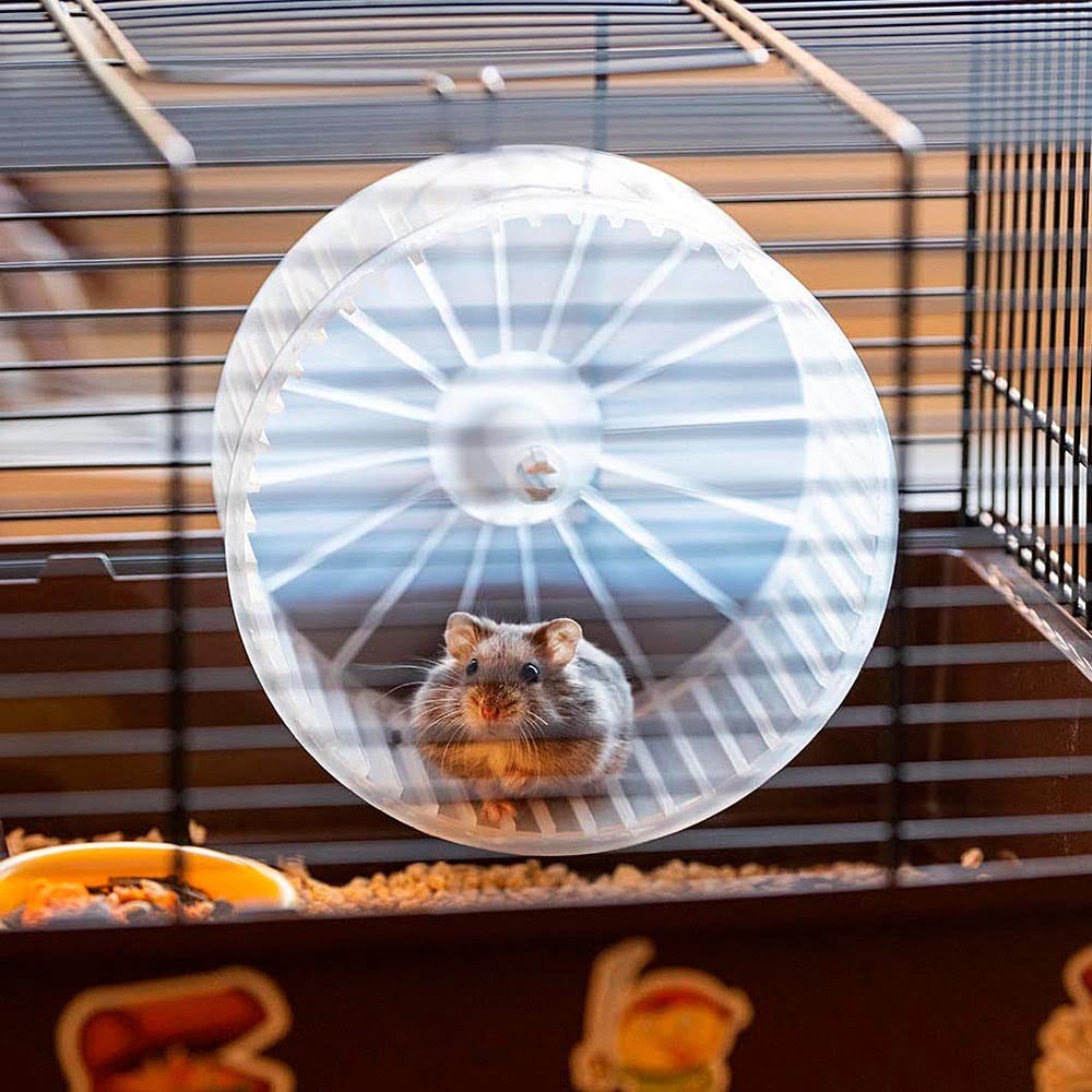 Ferplast Criceti 9 Hamster Kafesi Korsan Temalı