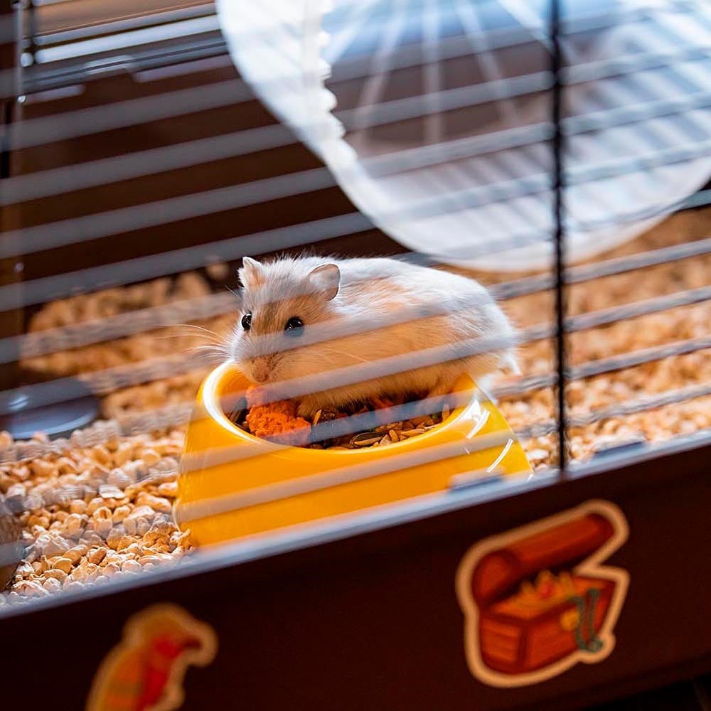 Ferplast Criceti 9 Hamster Kafesi Korsan Temalı