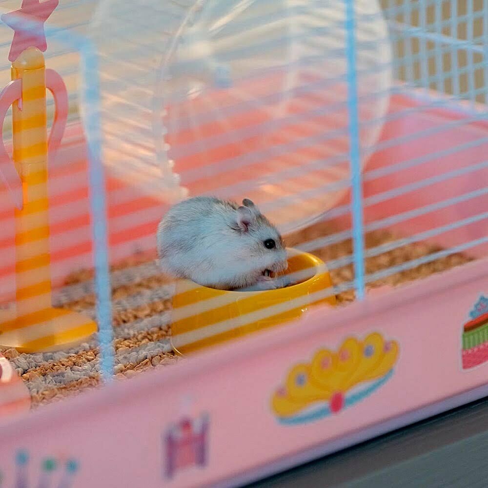 Ferplast Criceti 9 Hamster Kafesi Prenses Temalı