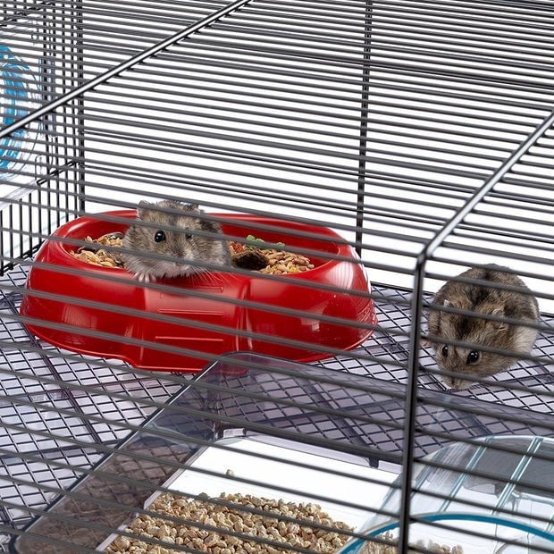Ferplast Favola Çift Katlı Hamster Kafesi Siyah 60x36x30Cm