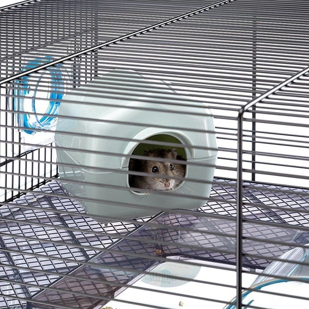 Ferplast Favola Çift Katlı Hamster Kafesi Siyah 60x36x30Cm