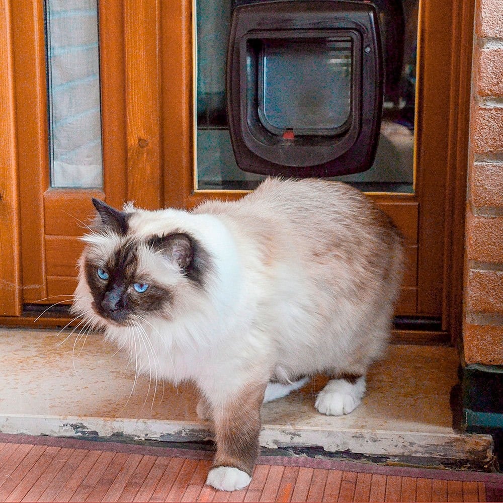 Ferplast Swing Microchip Mikroçipli White Kedi Kapısı