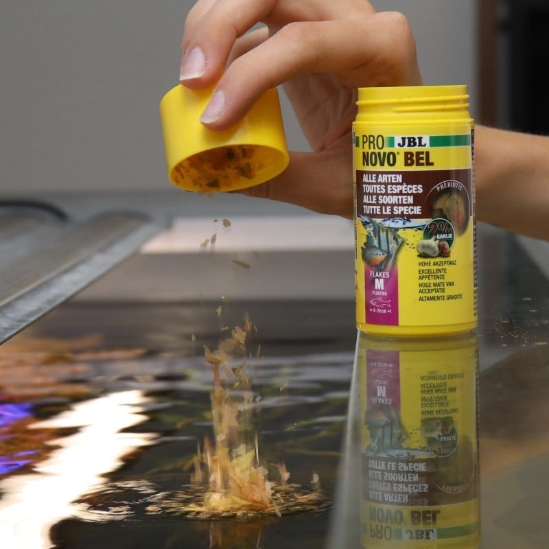 Jbl Pronovo Bel Flakes M 100ml