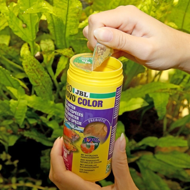 Jbl Pronovo Color Flakes M 100ml