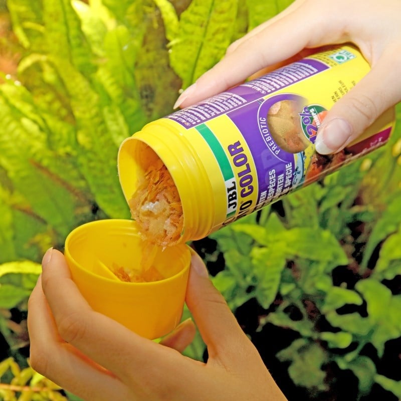 Jbl Pronovo Color Flakes M 100ml