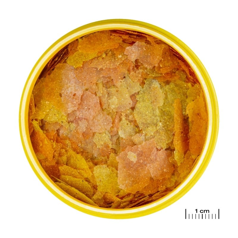Jbl Pronovo Color Flakes M 100ml