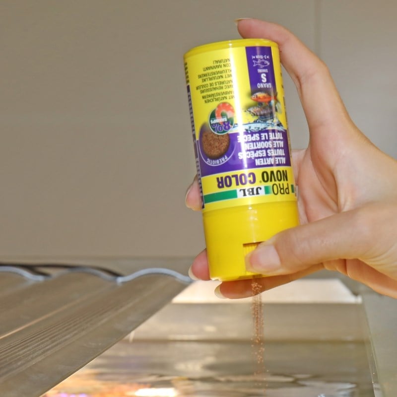 Jbl Pronovo Color Grano S 100ml