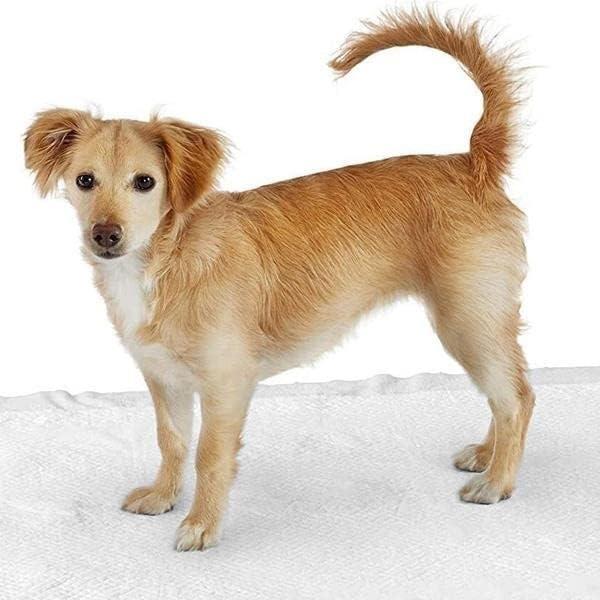 Kedi Köpek Tuvalet Eğitim Çiş Pedi 60x90 cm 30 Adet