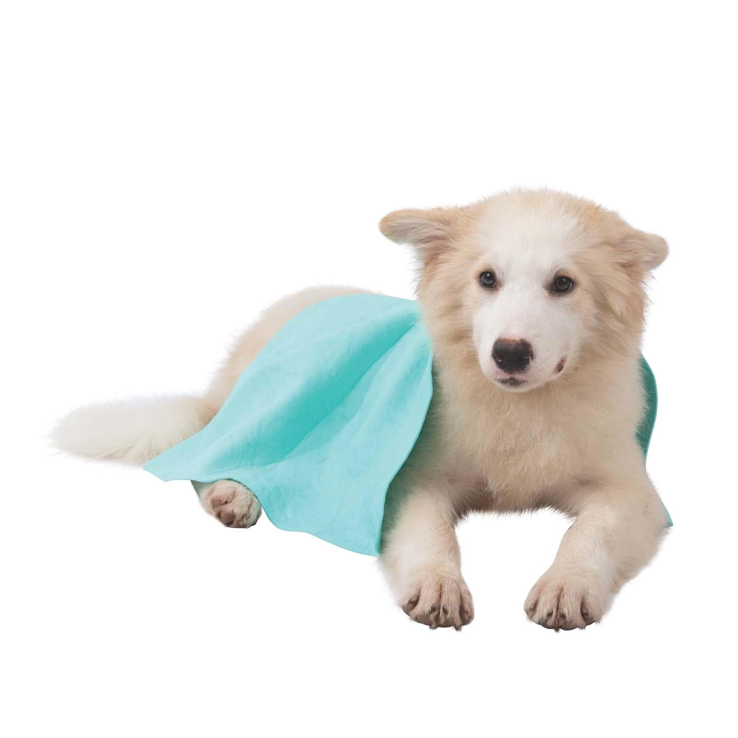 M-pets Bathtıme Kedi Ve Köpekler İçin Hızlı Kuruyan Havlu Green