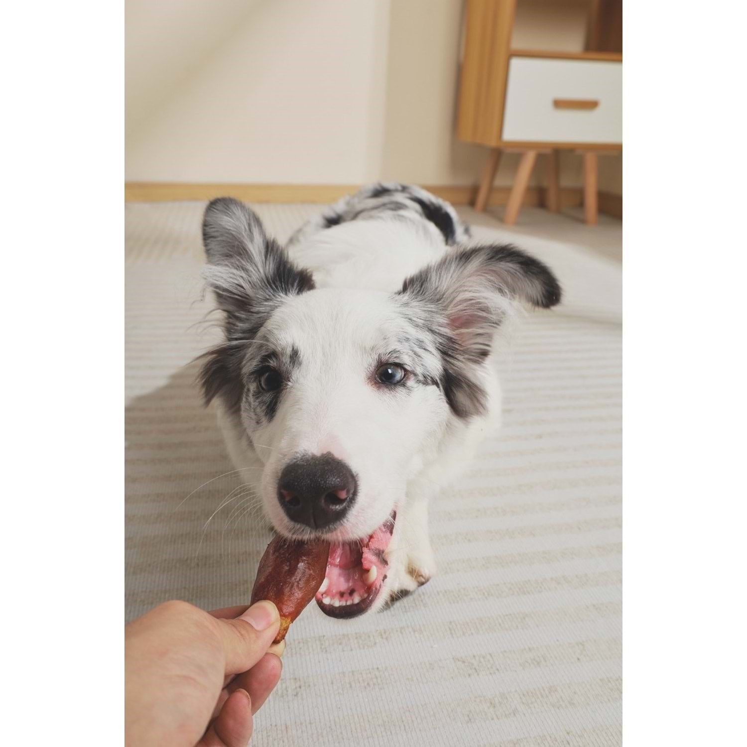 M-Pets Bbq Kıngs Rıb Bıtes Chıcken Ödül 115gr