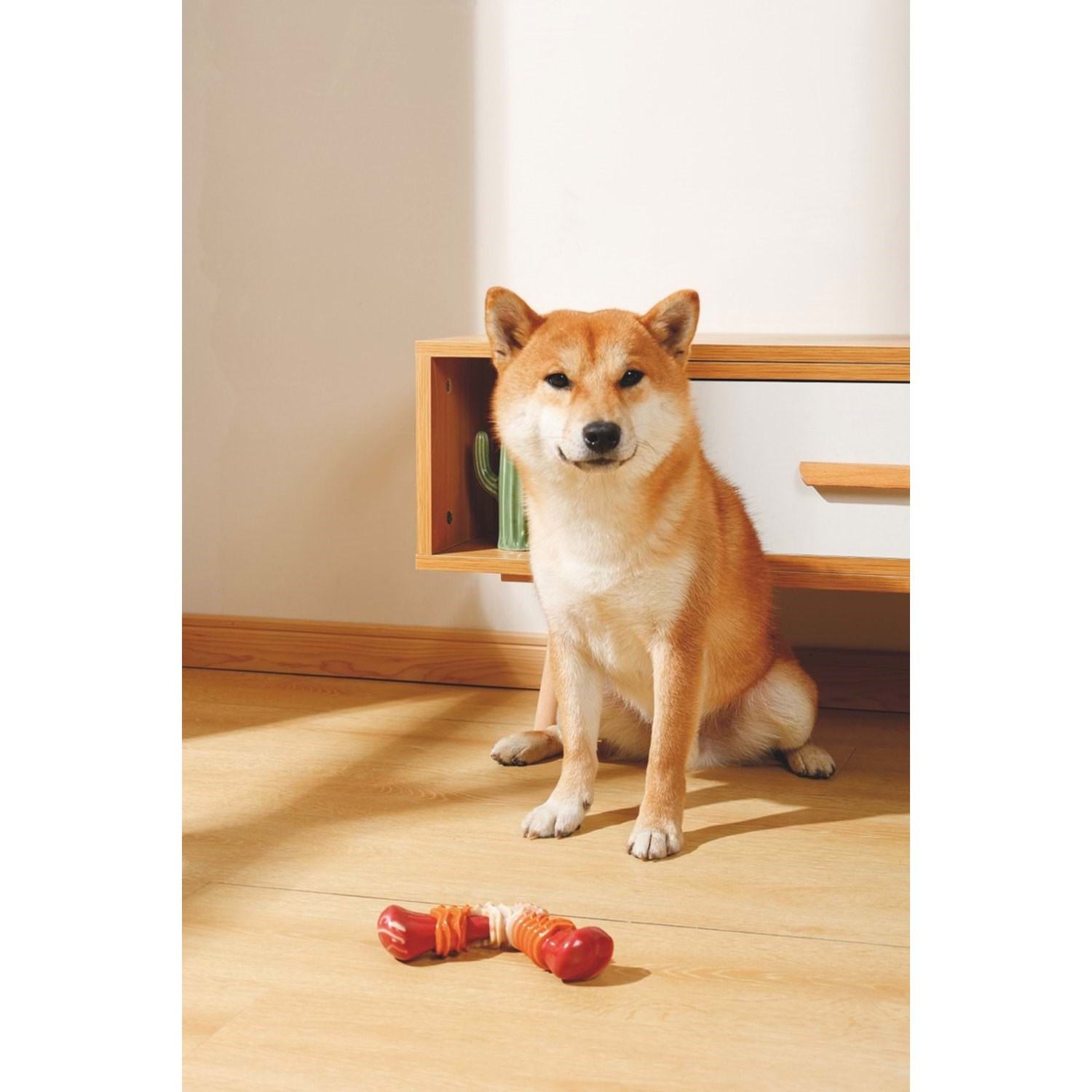 M-Pets Carnıvore Dog Toy Boomerang Bone Pastırma Aromalı