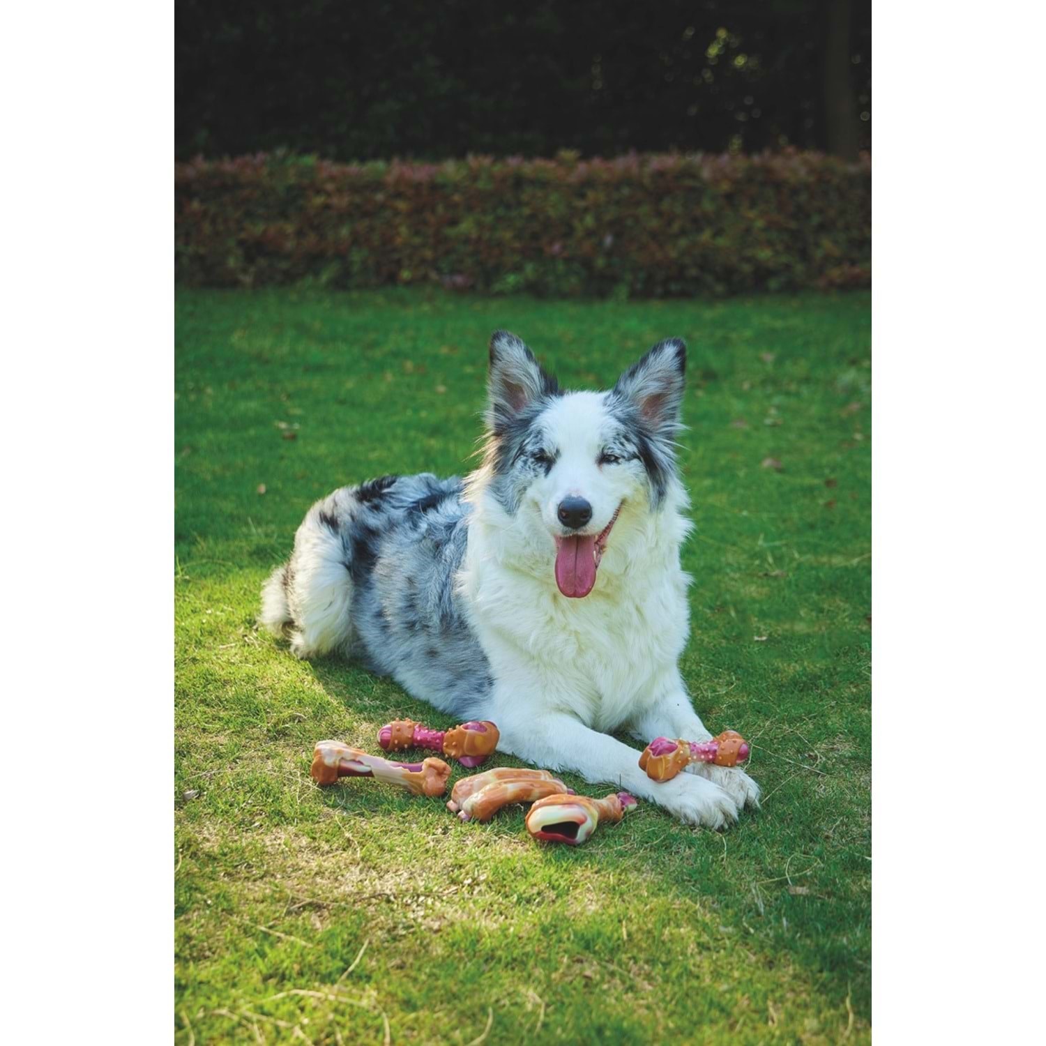 M-Pets Carnıvore Dog Toy Drumstıck Pastırma Aromalı