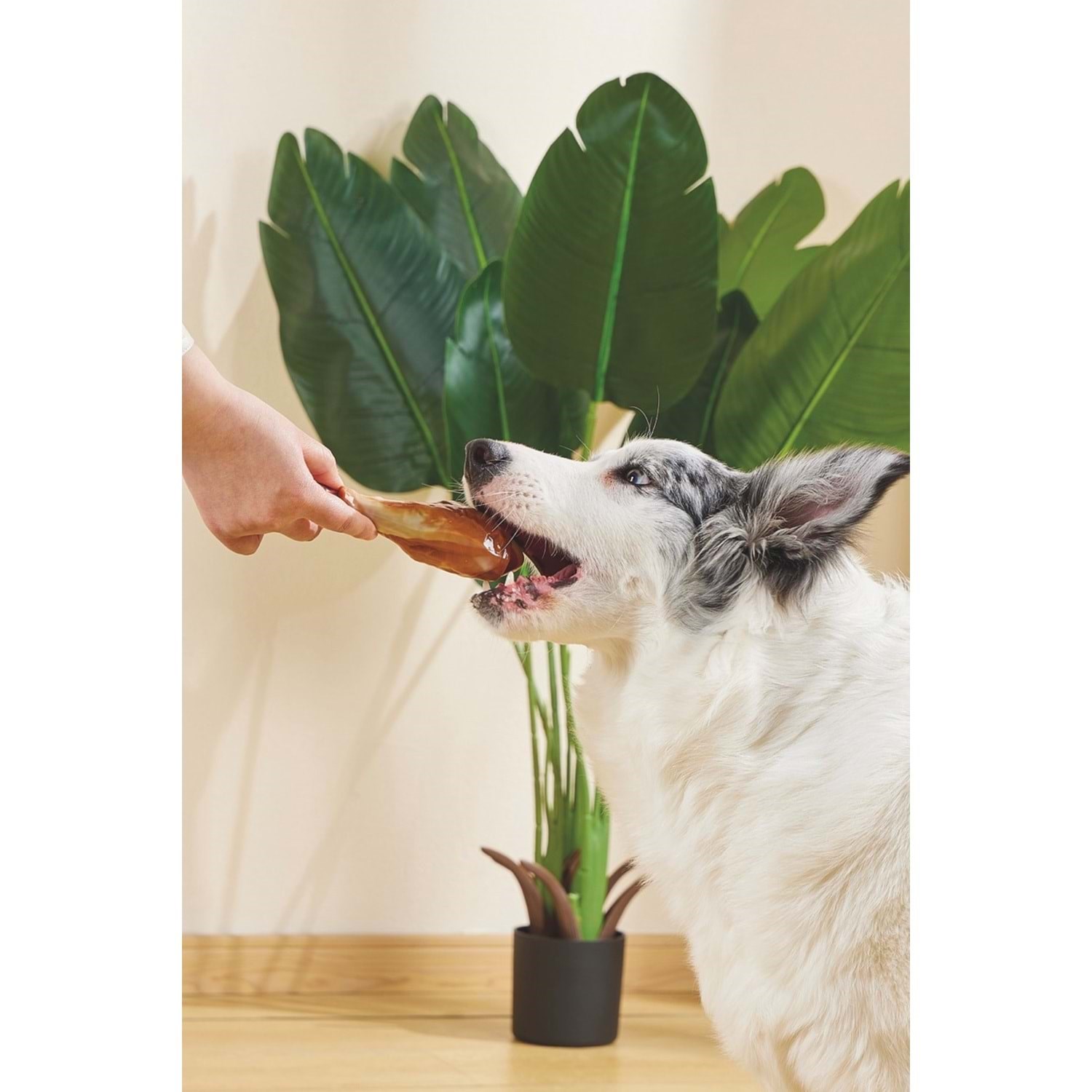 M-Pets Carnıvore Dog Toy Drumstıck Pastırma Aromalı