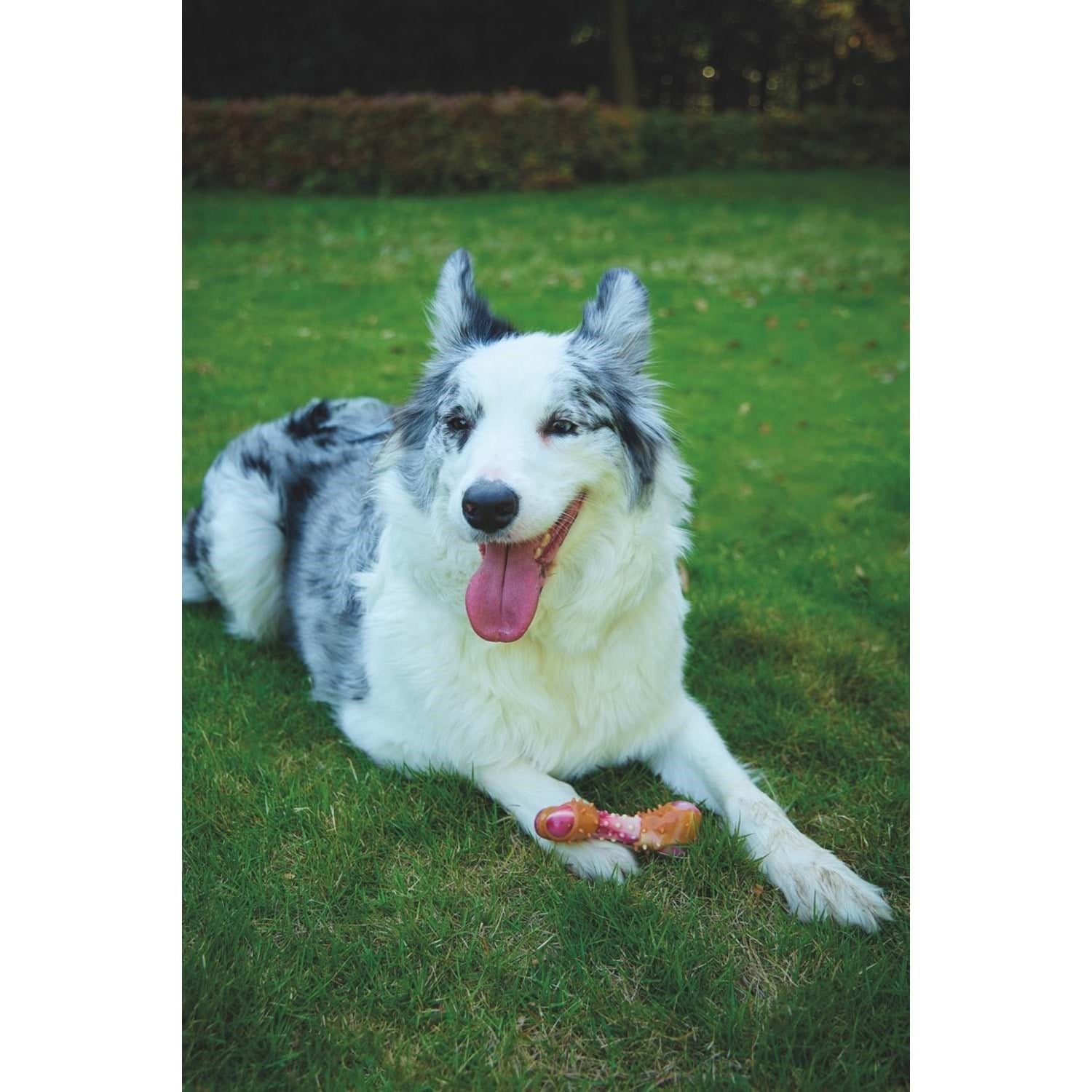 M-Pets Carnıvore Dog Toy Meaty Bone (M) Pastırma