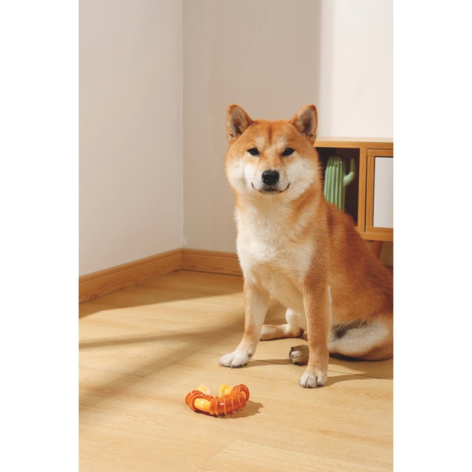 M-Pets Carnivore Dog Toy Ring Bone Pastırma Aromalı