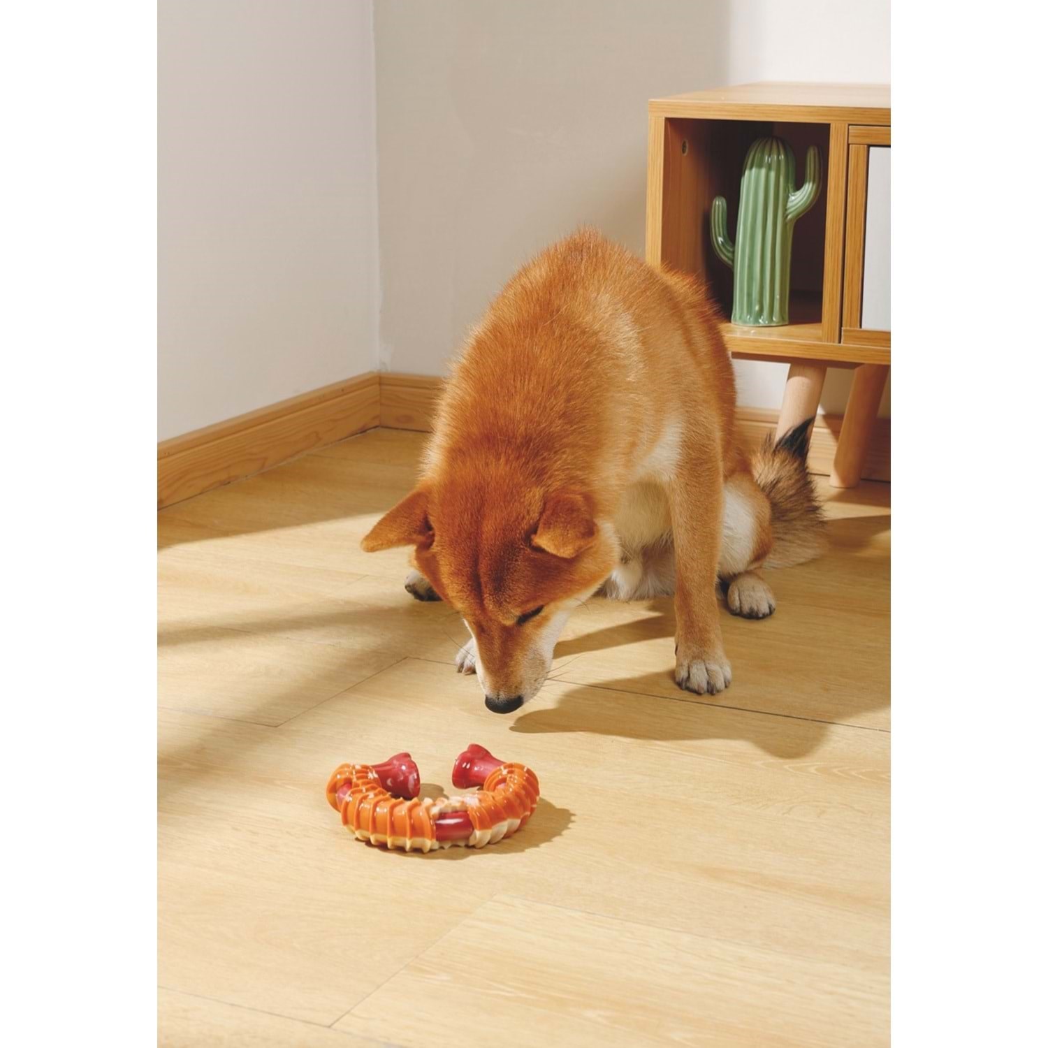M-Pets Carnıvore Dog Toy Rıng Bone Pastırma Aromalı