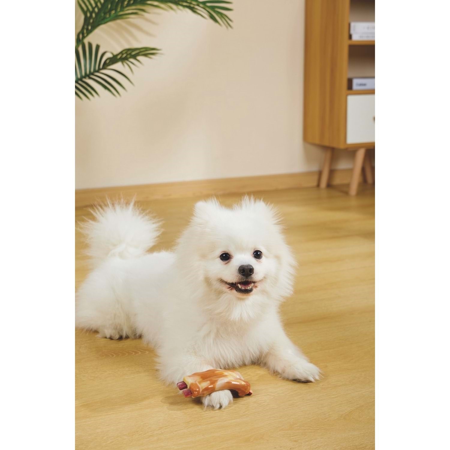 M-Pets Carnıvore Dog Toy Spare Rıbs Pastırma Aromalı