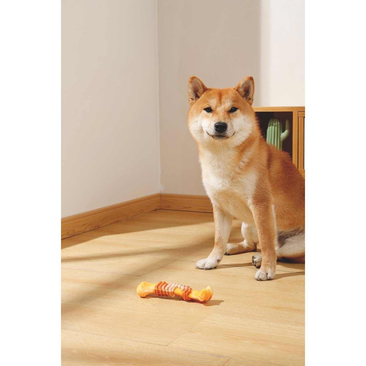M-Pets Carnıvore Dog Toy Stıck Bone Pastırma Aromalı