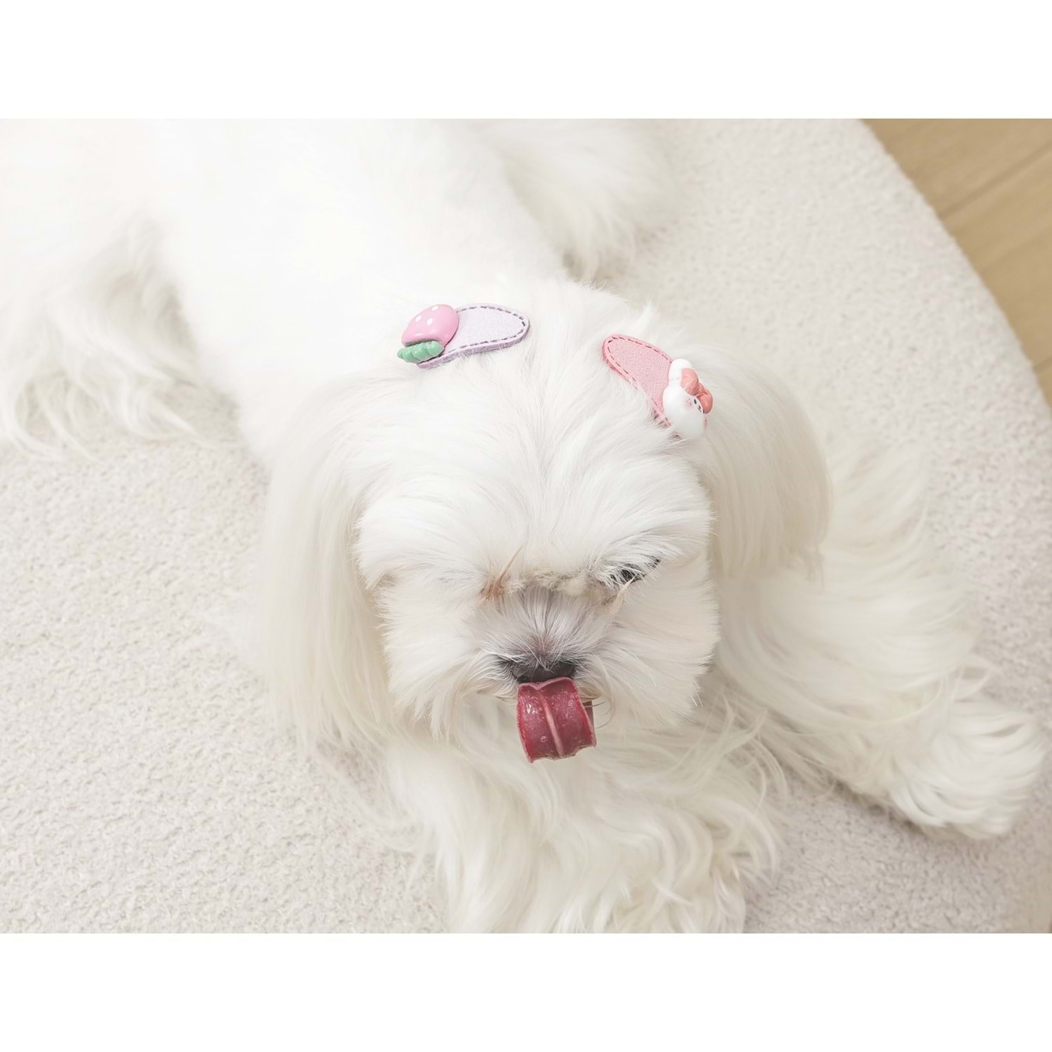 M-Pets Glam Köpek ve Kediler İçin Aksesuar Toka - Pembe