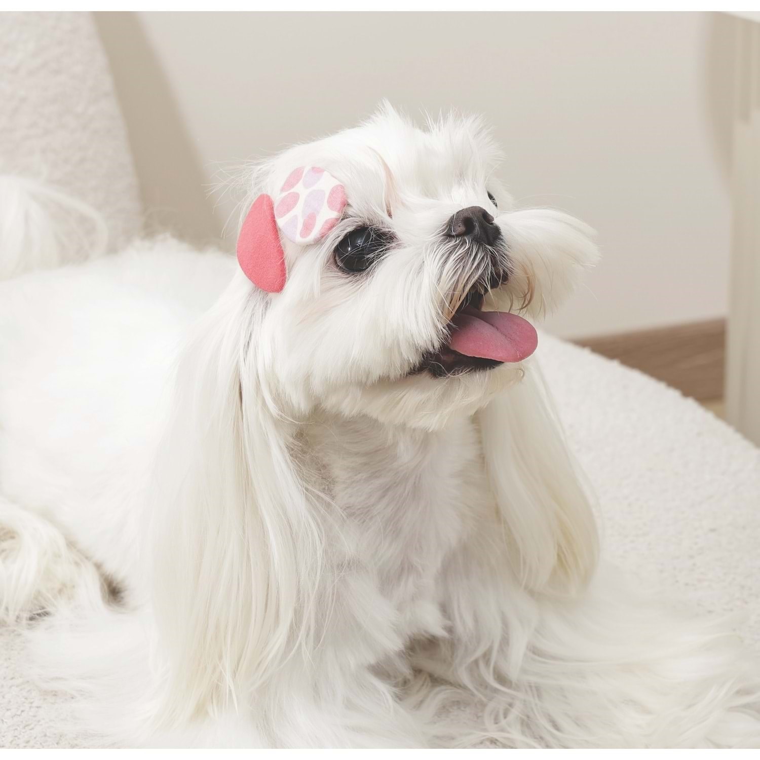 M-Pets Glam Köpek ve Kediler İçin Aksesuar Toka - Kırmızı