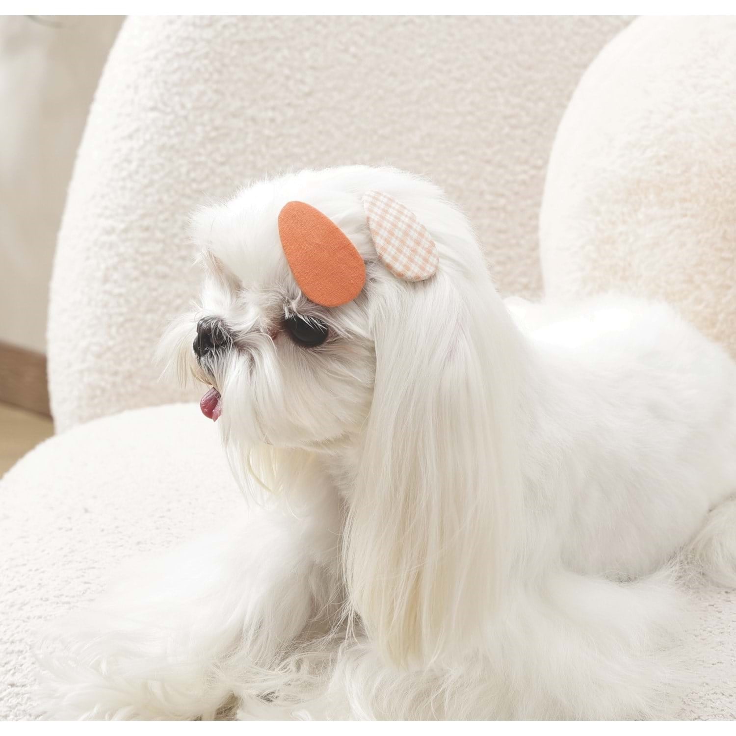 M-Pets Glam Köpek ve Kediler İçin Aksesuar Toka - Turuncu