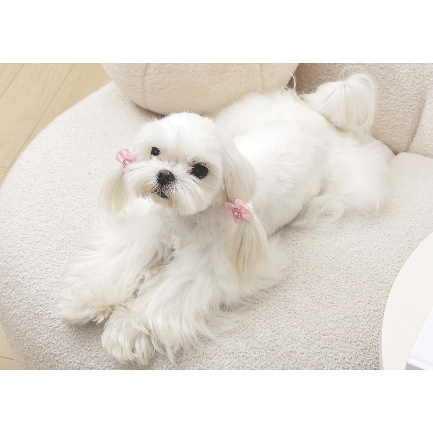 M-Pets Glam Köpek ve Kediler İçin Aksesuar Toka - Pink