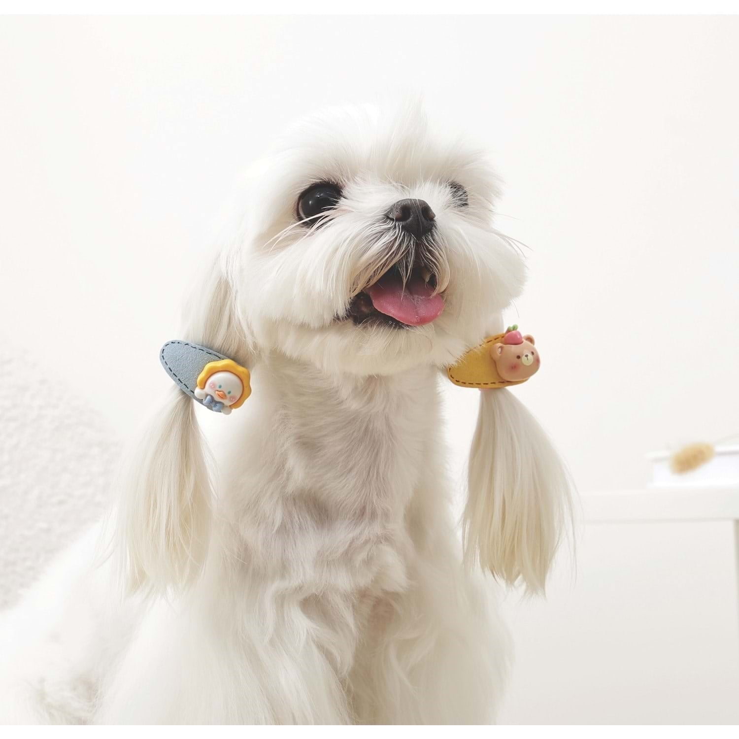 M-Pets Glam Köpek ve Kediler İçin Aksesuar Toka - Sarı